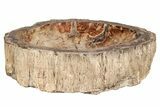 Massive Polished Petrified Wood Dish ( lbs) - Madagascar #207423-2